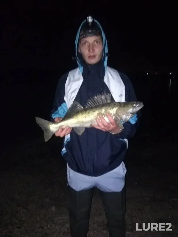 Zander — Irtysh, Sep 26, 2019