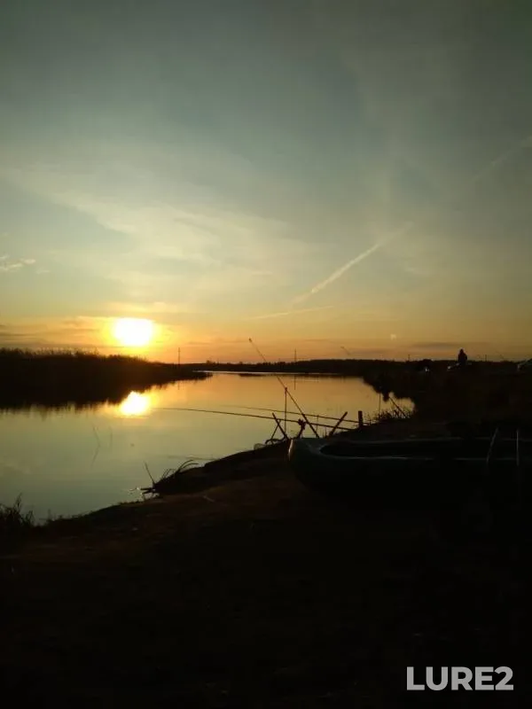 Crucian carp — Omskaya oblast, Krutinskiy rayon, Oct 05, 2019