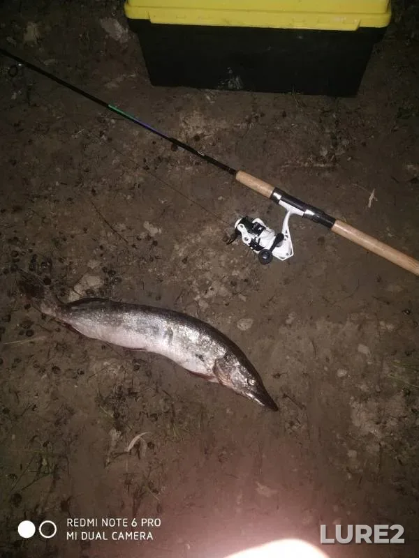 Pike — Om, Oct 12, 2019