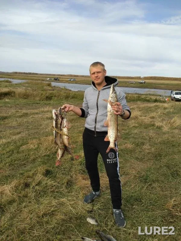 Pike — Omskaya oblast, Tyukalinskiy rayon, Oct 06, 2019