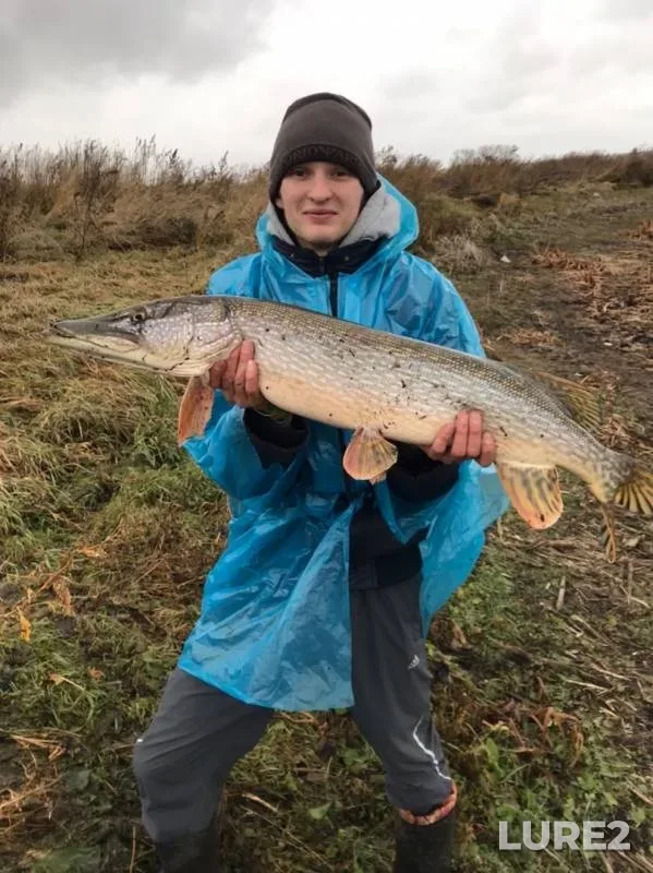 Perch, Pike — Omskaya oblast, Kolosovskiy rayon, Oct 28, 2019