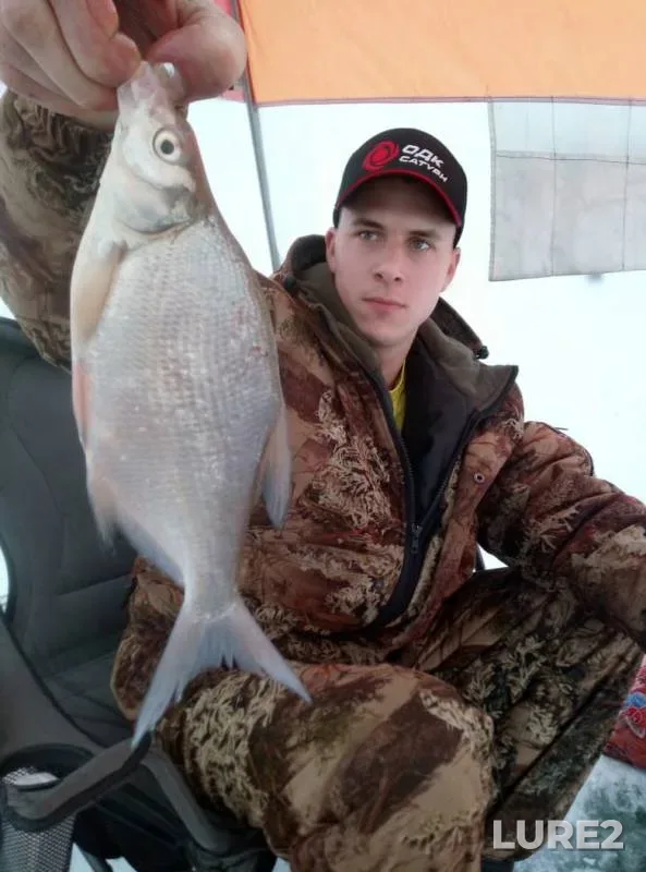 Bream — Irtysh, Nov 24, 2019