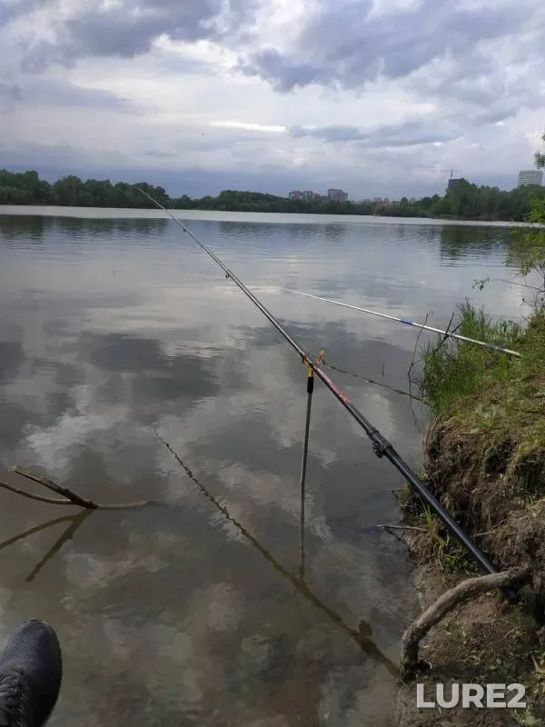 Bream — Inya, Jun 07, 2019