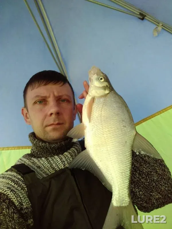 Bream — Irtysh, Nov 30, 2019