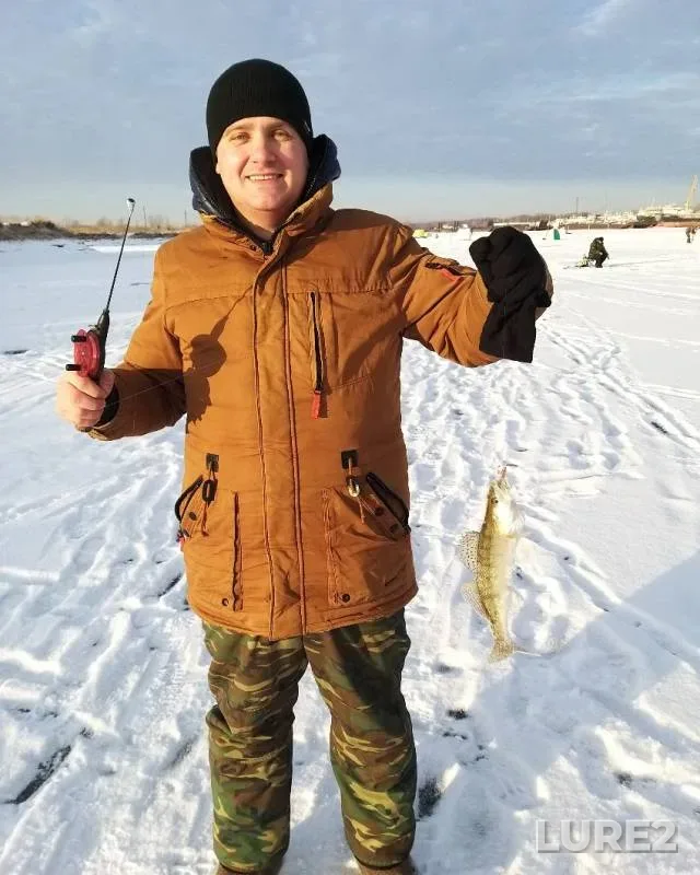 Perch, Zander — Irtysh, Nov 30, 2019