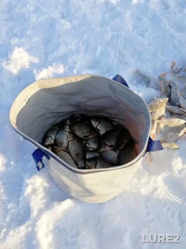 Crucian carp, Perch — Omskaya oblast, Krutinskiy rayon, Nov 30, 2019
