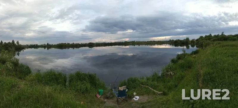 Crucian carp — Krivodanovka, Jun 23, 2019