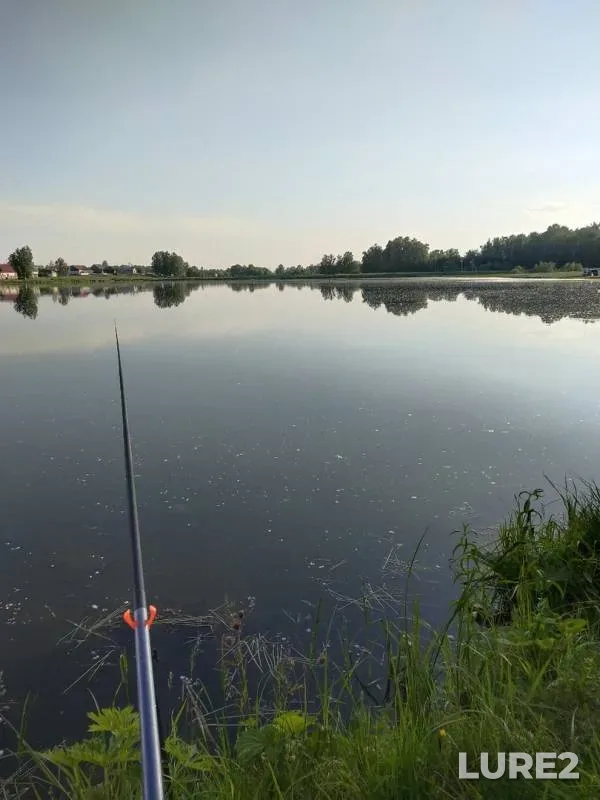 Perch — Novosibirskaya oblast, Jun 22, 2019
