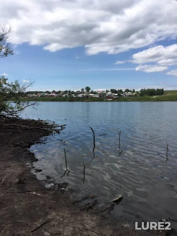 Crucian carp — Chernodyrikha, Jun 16, 2019