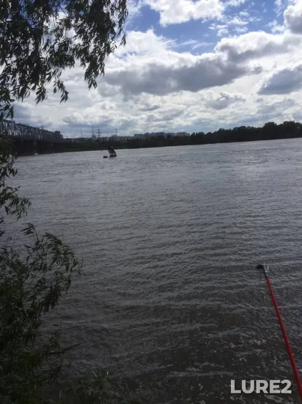 Bream, Crucian carp — Novosibirskaya oblast, Jun 14, 2019