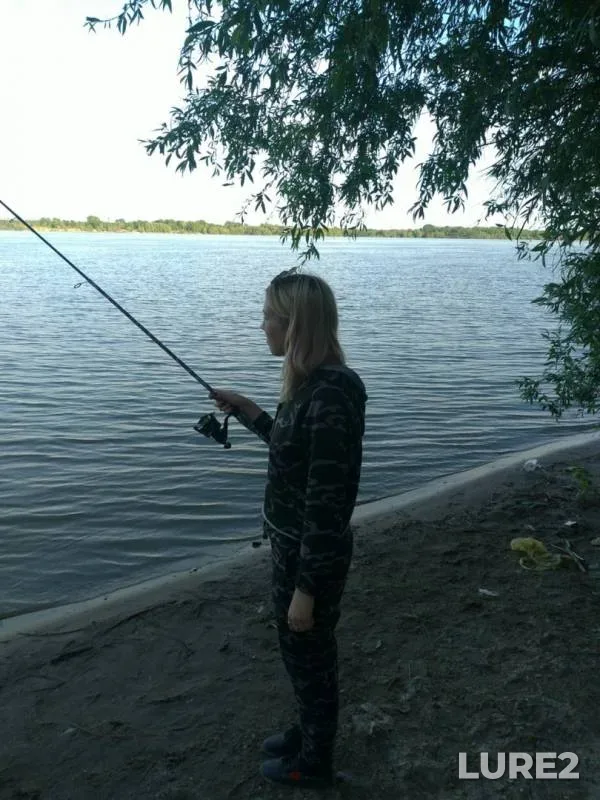 Perch — Novosibirskaya oblast, Jun 12, 2019