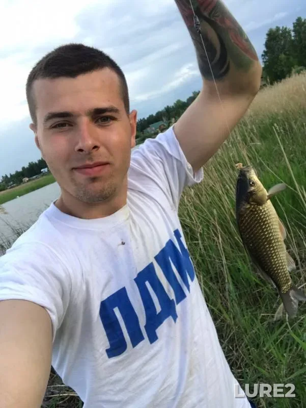 Crucian carp — Petushikha, Jun 14, 2019