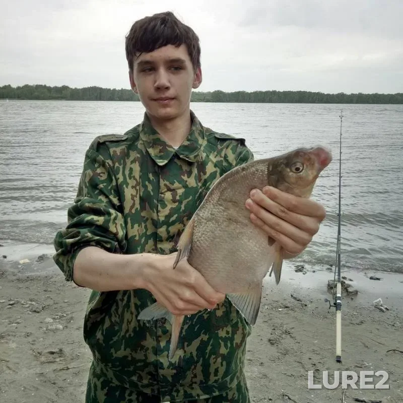 Bream, Ide — Ob, Jun 23, 2019
