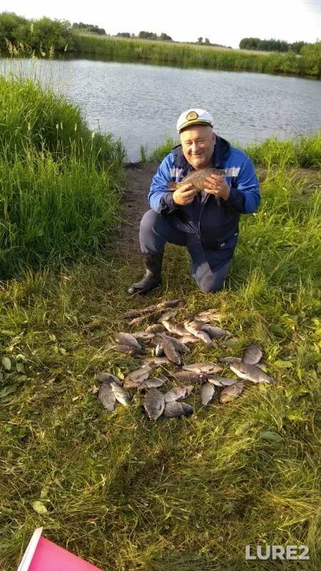 Crucian carp — Sobachye, Jun 26, 2019