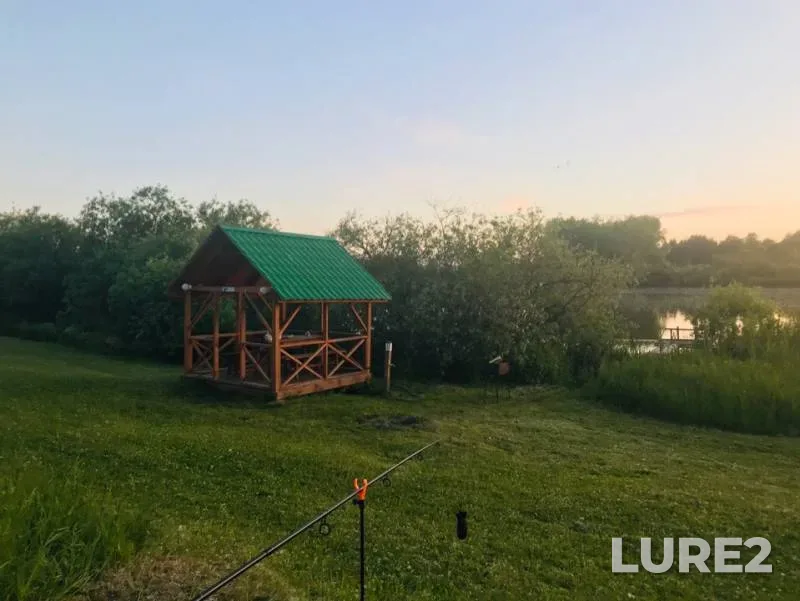 Bream, Roach — Novosibirskaya oblast, Jun 26, 2019