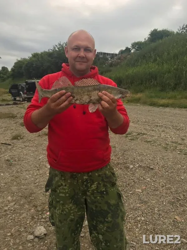 Pike, Zander — Protoka malaya, Jul 02, 2019