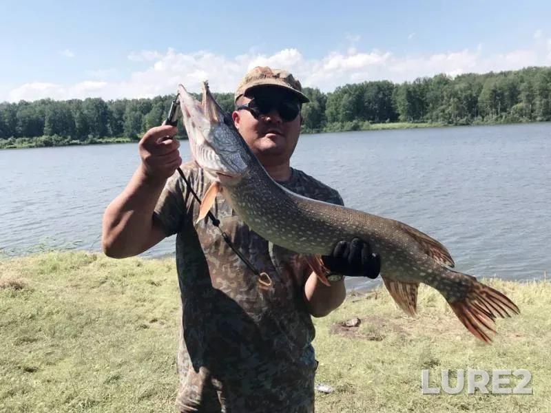 Pike — Novosibirskaya oblast, Jul 09, 2019