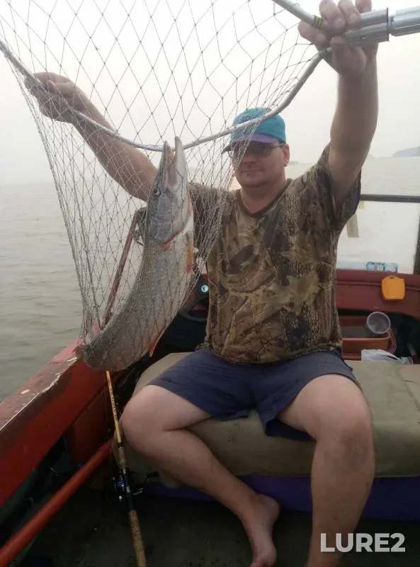 Pike — Novosibirskaya oblast, Jul 26, 2019