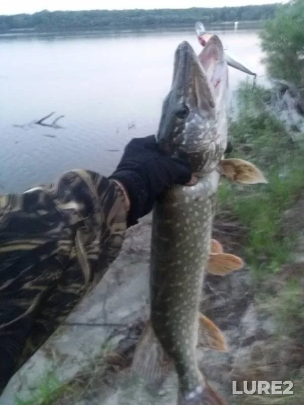 Pike — Ob, Jul 29, 2019