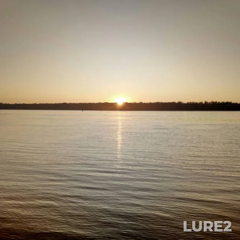 Bream — Ob, Aug 13, 2019