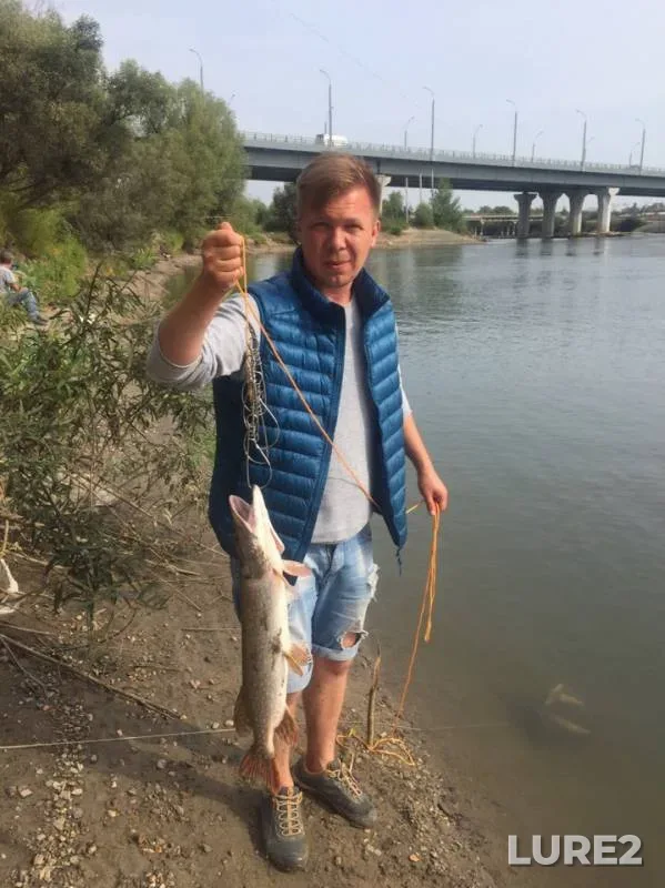 Pike — Ob, Aug 16, 2019