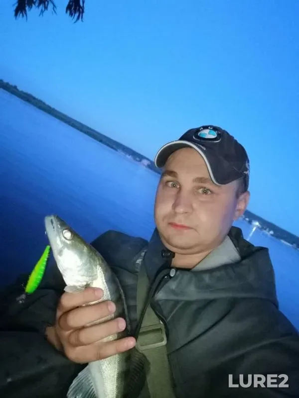Zander — Ob, Aug 07, 2019