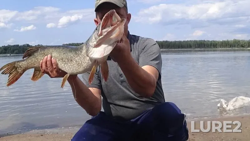 Pike — Ob, Aug 10, 2019