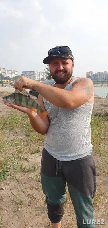 Perch — Razdolnoye, Aug 18, 2019