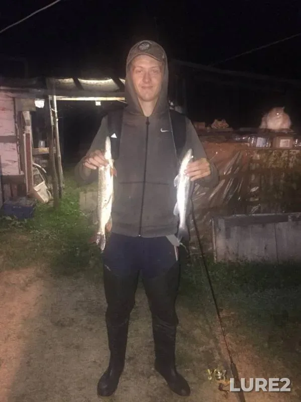Pike, Zander — Ob, Aug 18, 2019