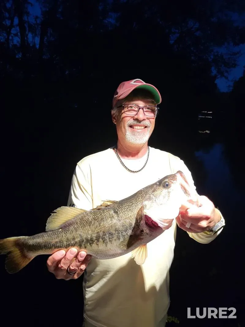 Largemouth bass — Lake Harris, Mar 18, 2018