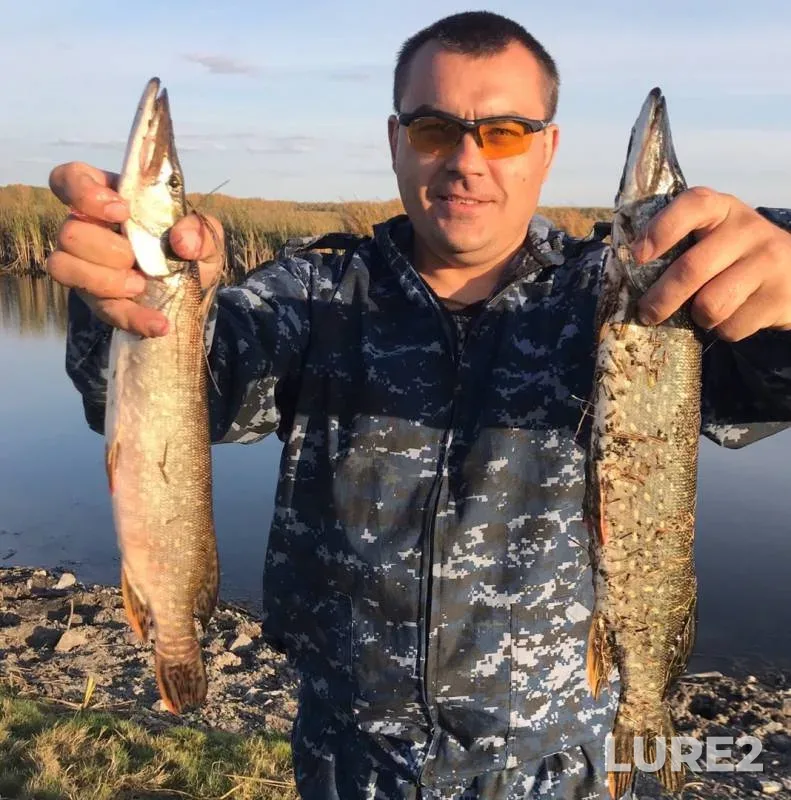 Pike — Karasuk, Sep 23, 2019