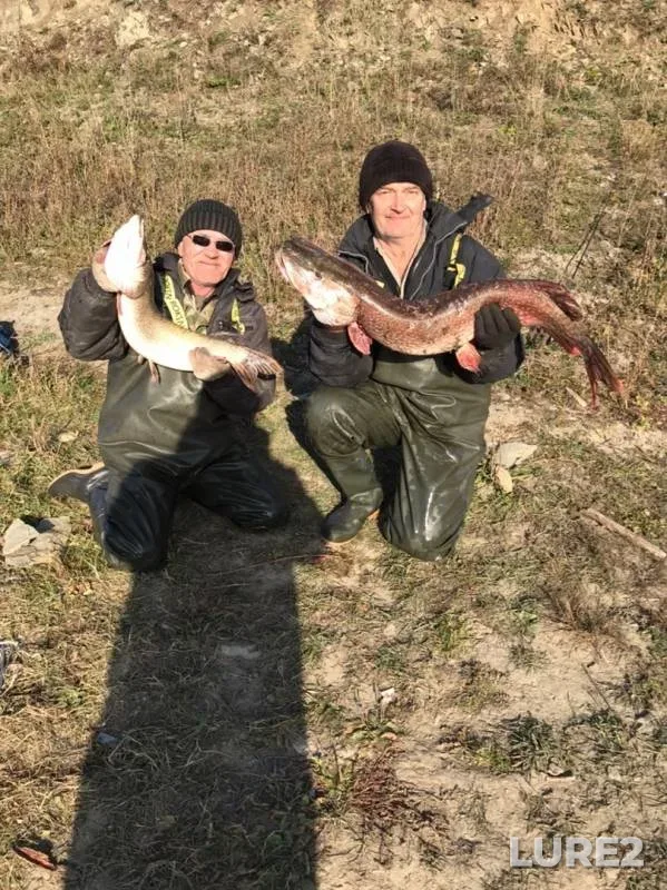 Pike — Inya, Oct 12, 2019
