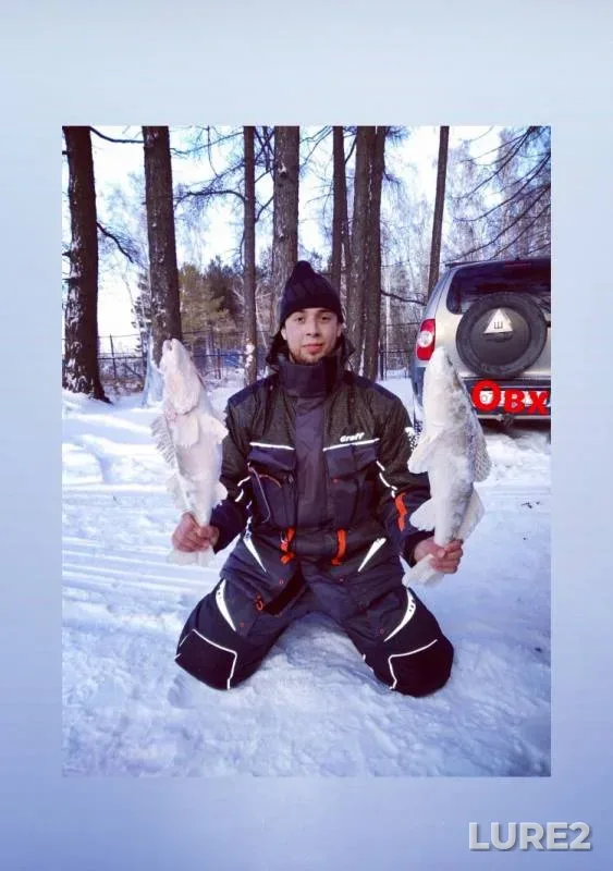 Zander — Novosibirskaya oblast, Nov 25, 2019