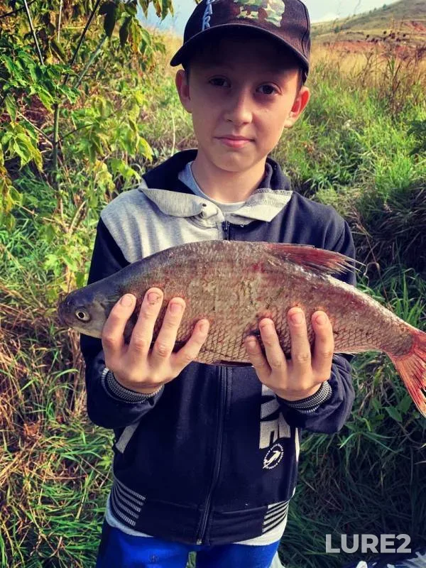 Bream — Ik, Sep 16, 2019