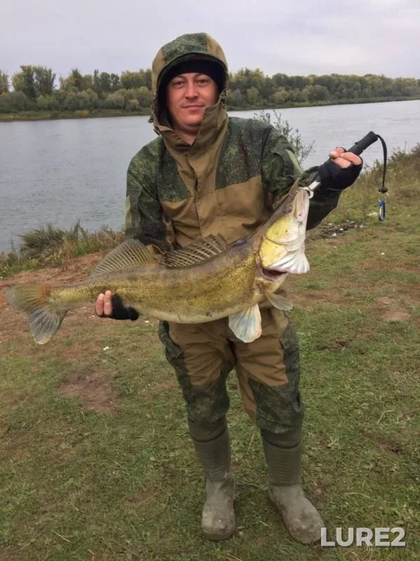 Zander — Belaya, Sep 27, 2019