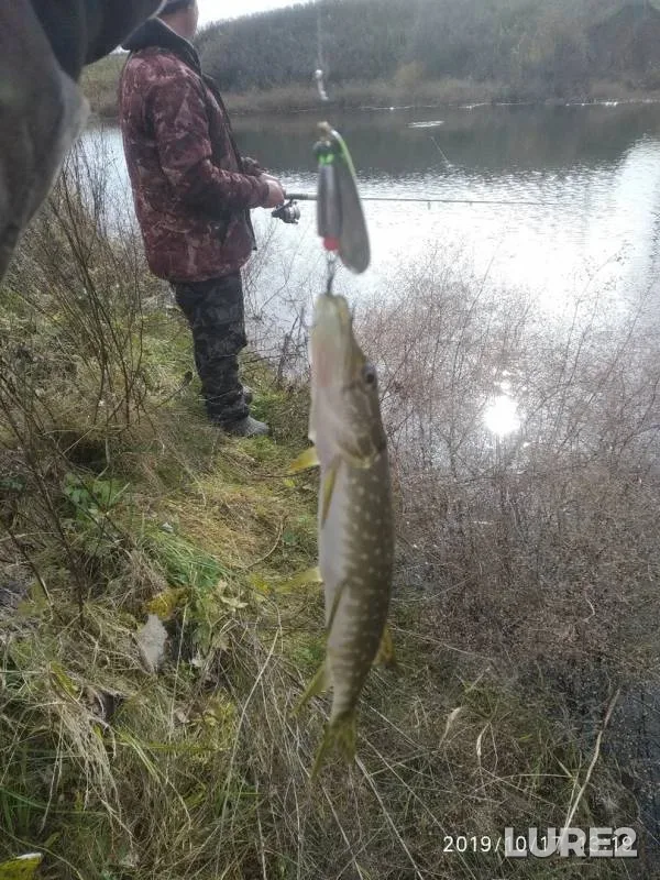 Pike — Respublika Bashkortostan, Oct 22, 2019