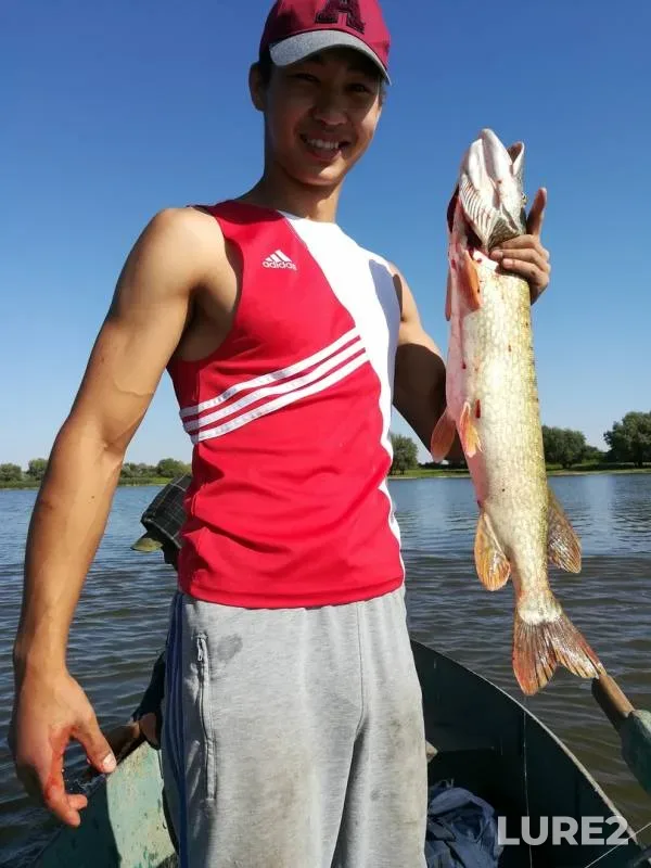 Pike — Krivoy Buzan, Sep 02, 2018