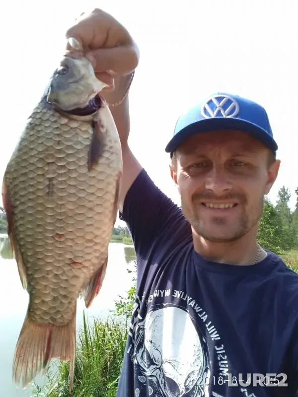 Crucian carp — Barskiye prudy, Aug 06, 2018