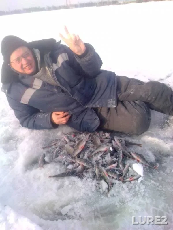 Perch — Reftinskoye, Jan 19, 2019
