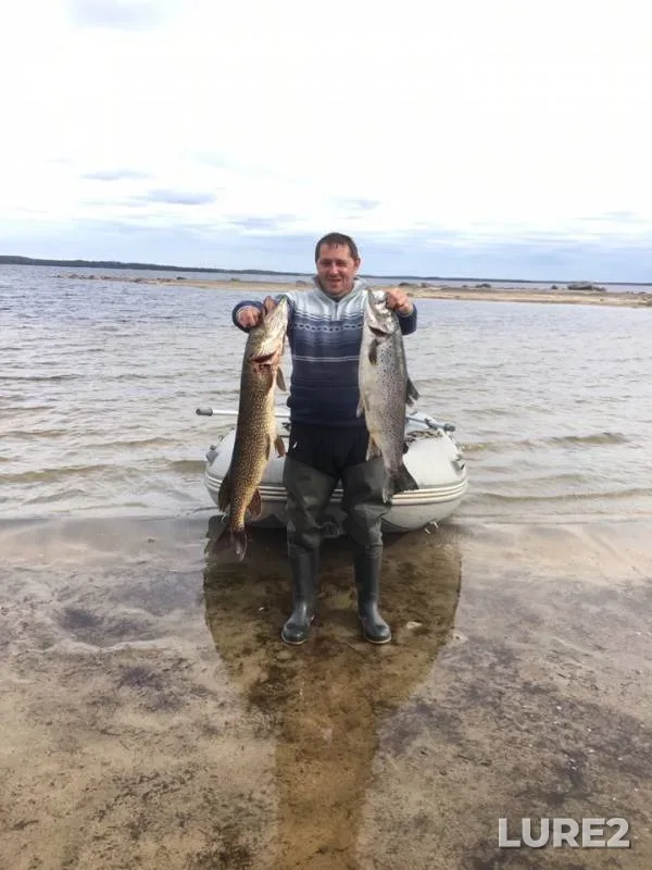 Pike — Respublika Kareliya, Loukhskiy rayon, Jun 01, 2019