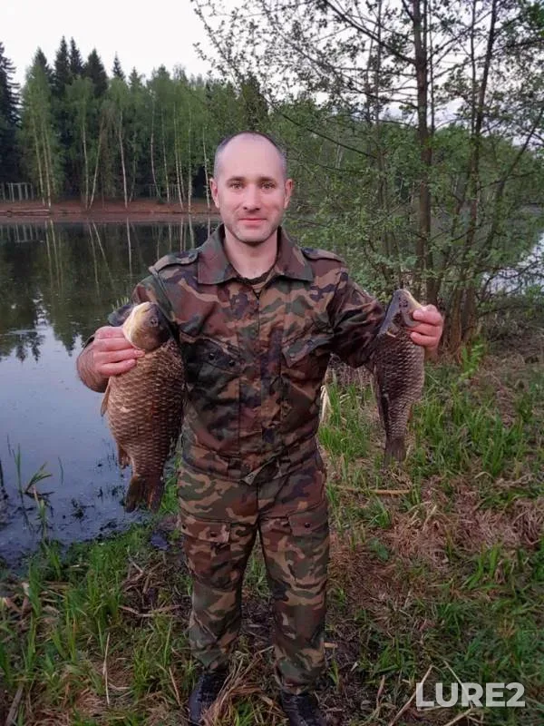 Crucian carp — Zlodeyka, May 08, 2019