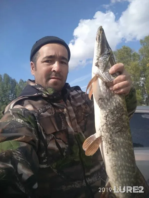 Pike — Sakmara, Sep 28, 2019