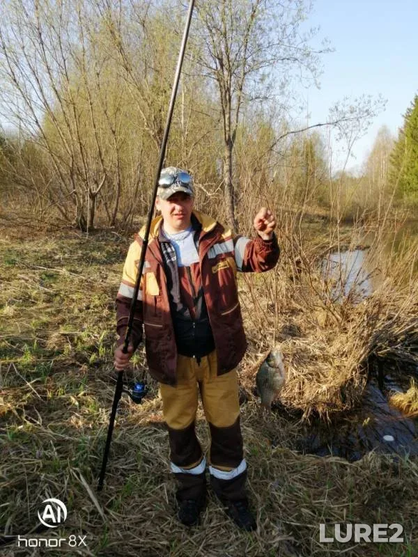 Crucian carp — Seva, May 11, 2019