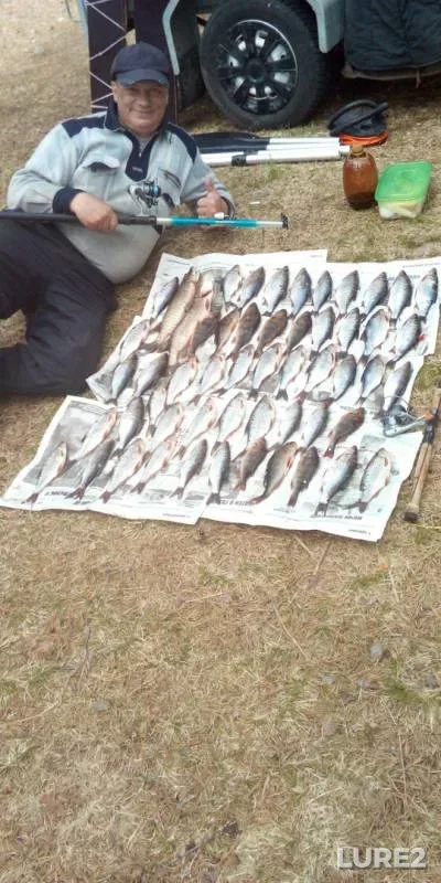 Perch, Pike — Shchuchye, Jun 02, 2019