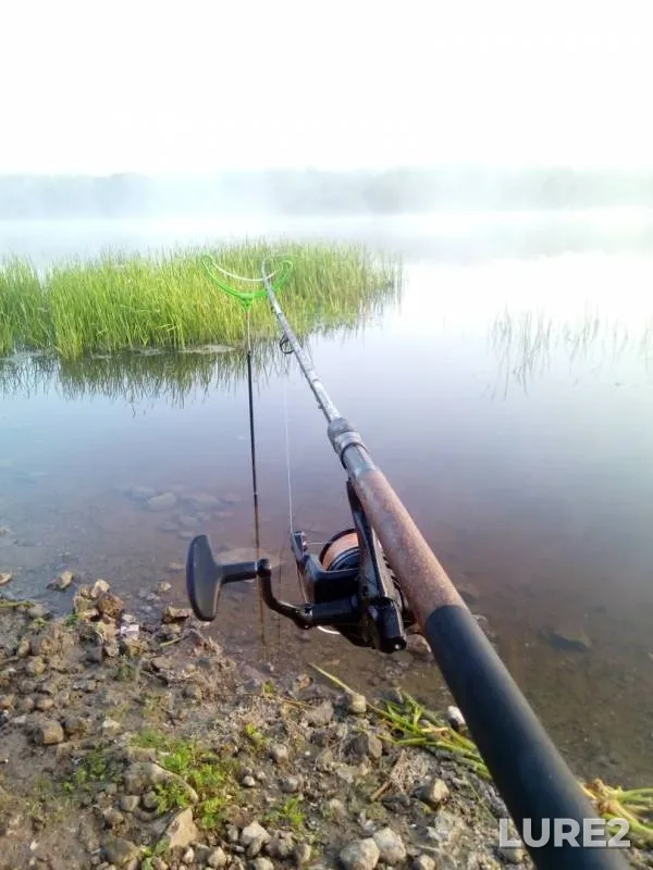 Bream, Ide — Sukhona, Jul 23, 2019