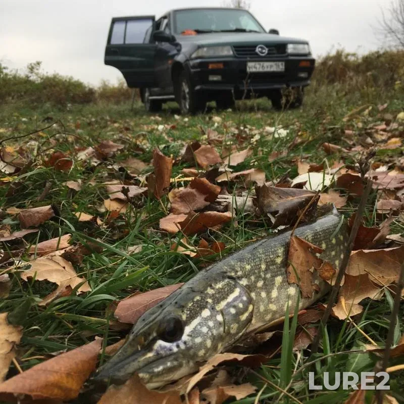 Pike — yerik Lagutnik, Oct 20, 2019