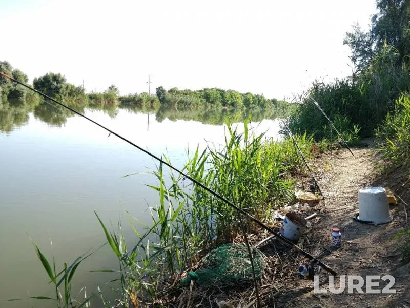 Crucian carp — Rostovskaya oblast, Nov 01, 2019