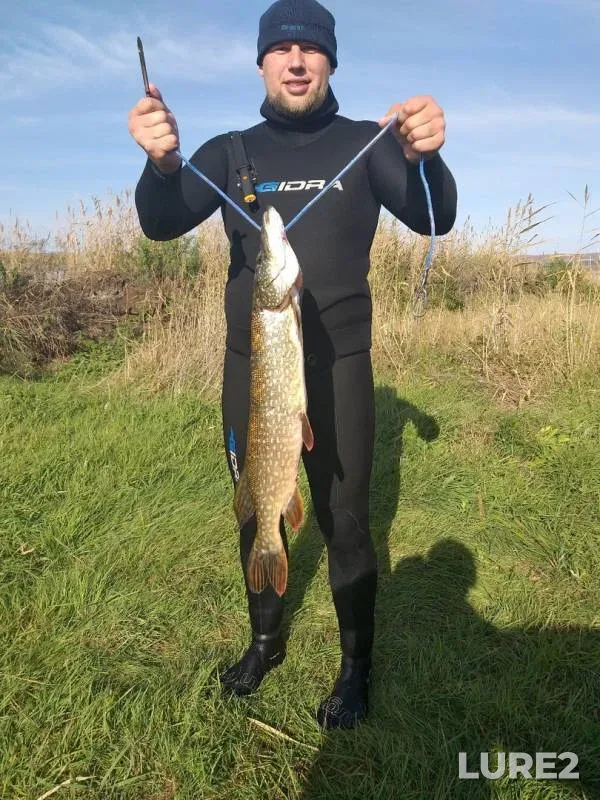 Pike — Bolshoye, Nov 09, 2019