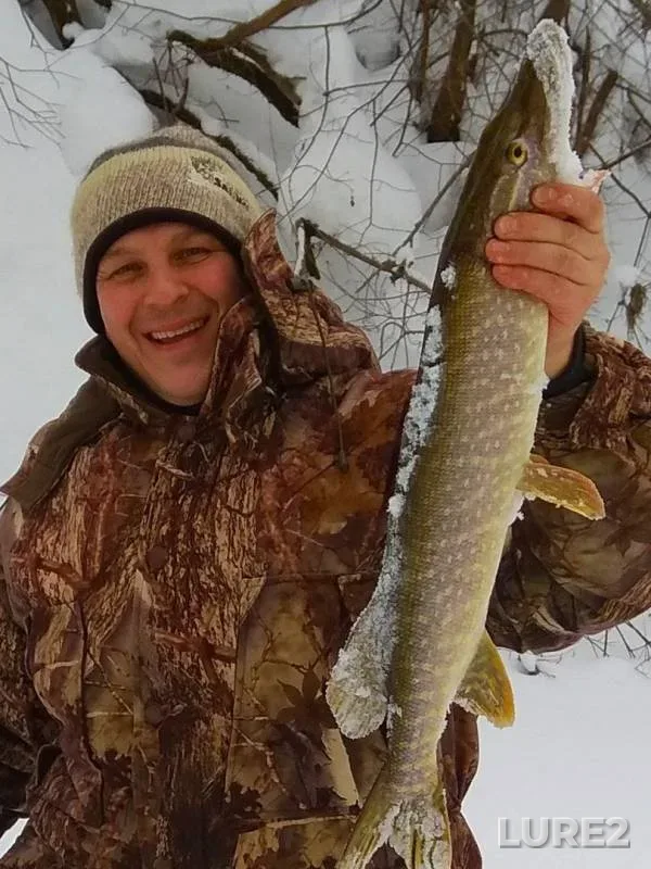 Pike — Vyatka, Mar 16, 2019