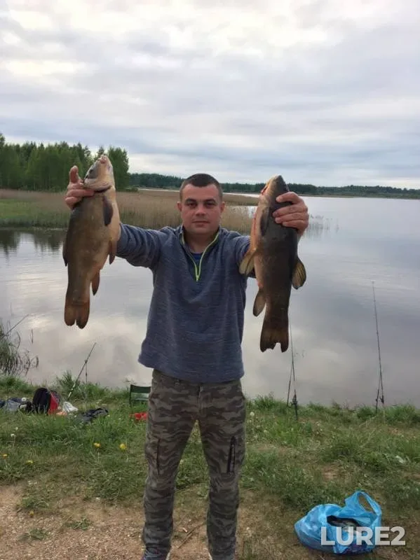 Crucian carp, Roach — Kholynka, May 29, 2019